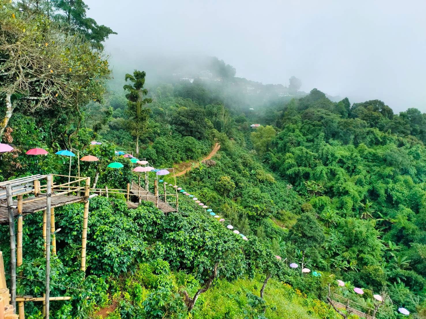 Pha Hee Bamboo Bridge