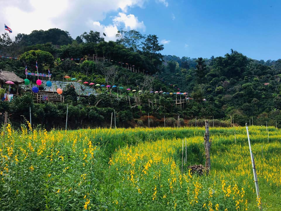 Pha Hee Bamboo Bridge