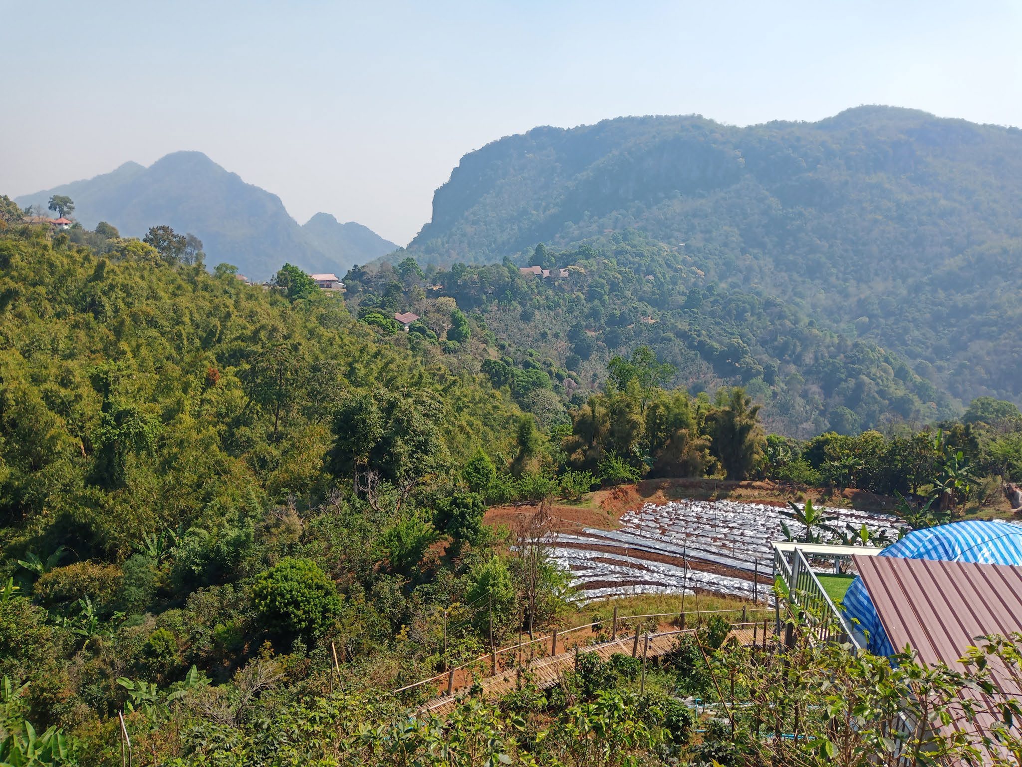 Pha Hee Bamboo Bridge
