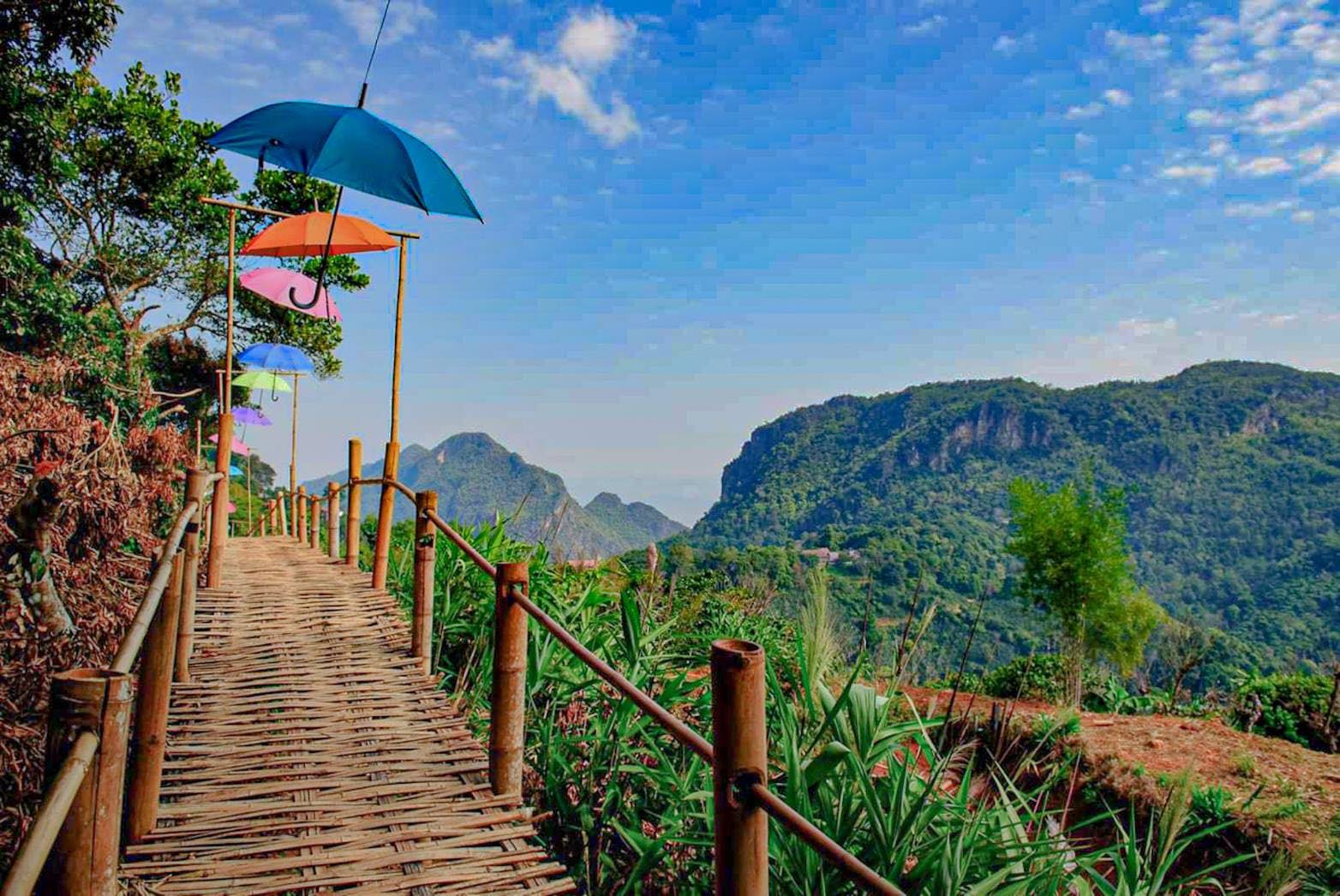 Pha Hee Bamboo Bridge