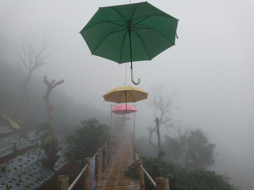 Pha Hee Bamboo Bridge