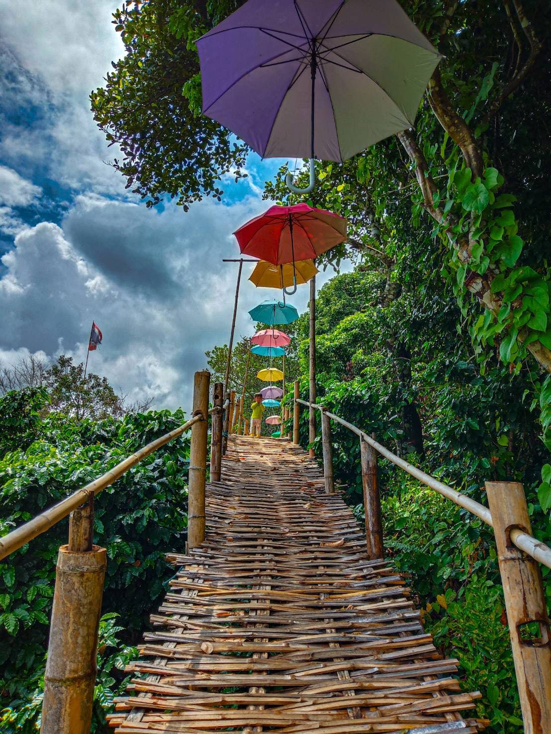 Pha Hee Bamboo Bridge
