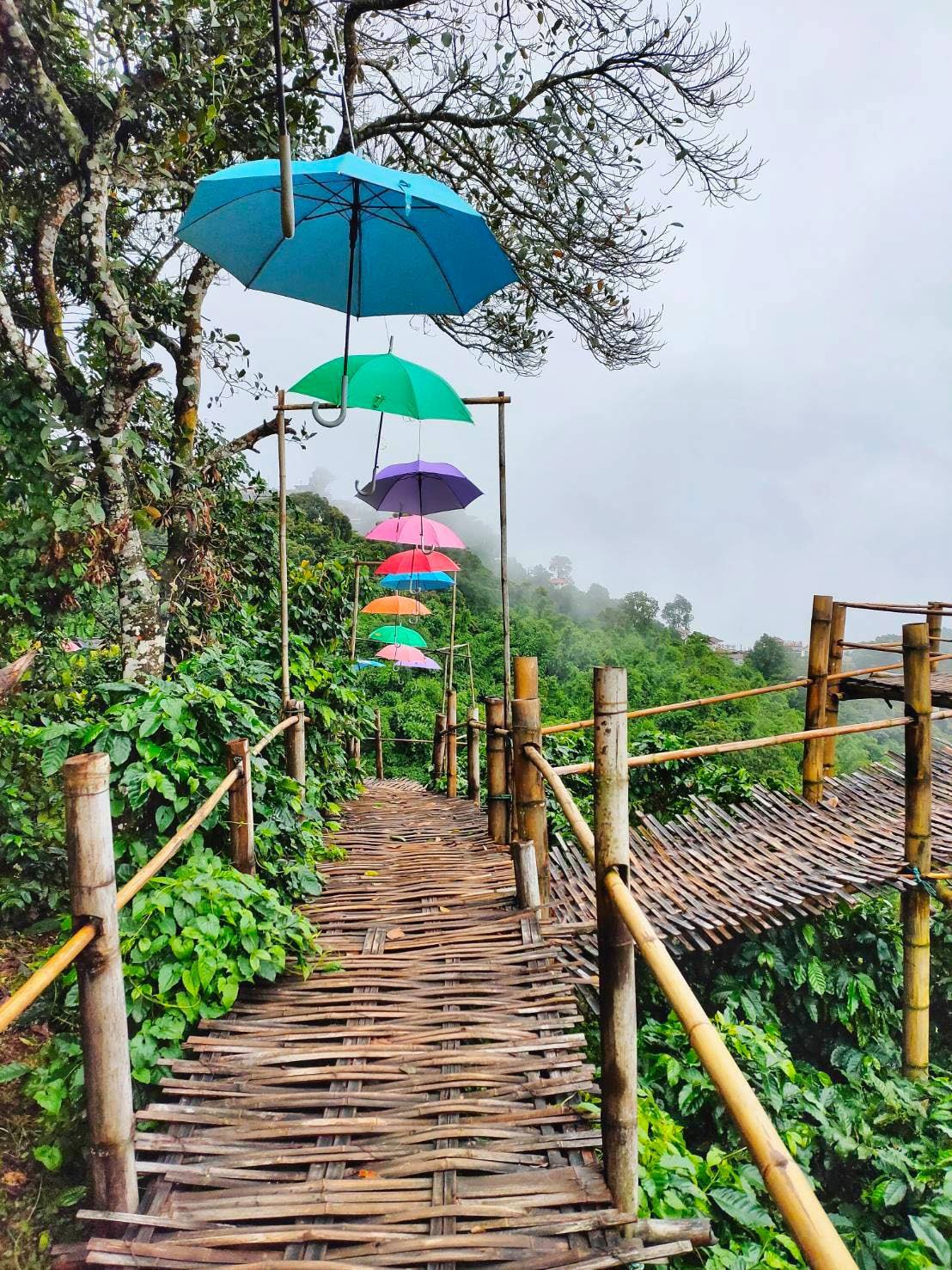 Pha Hee Bamboo Bridge
