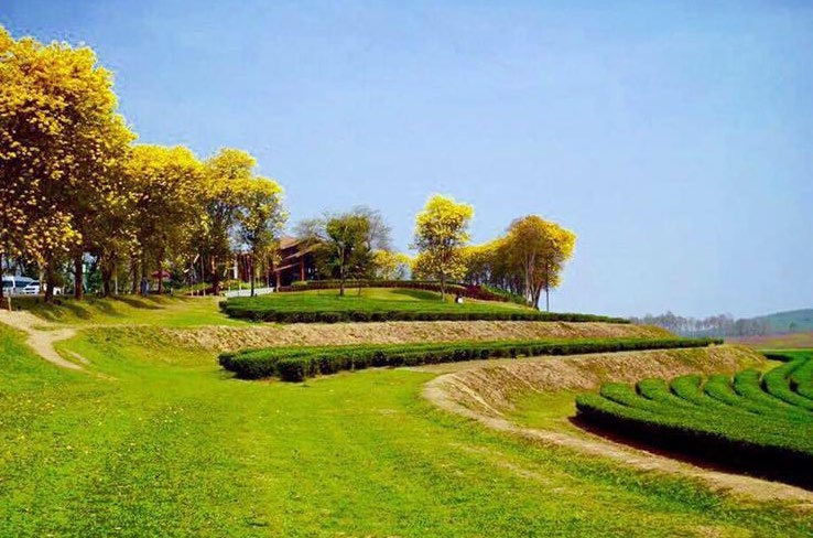 singha park