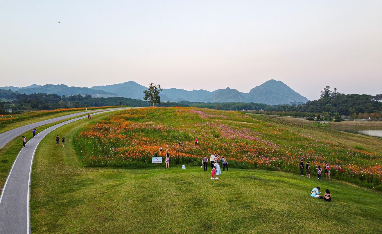 singha park
