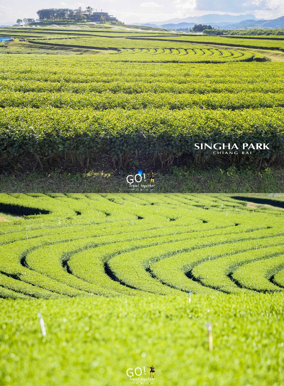singha park