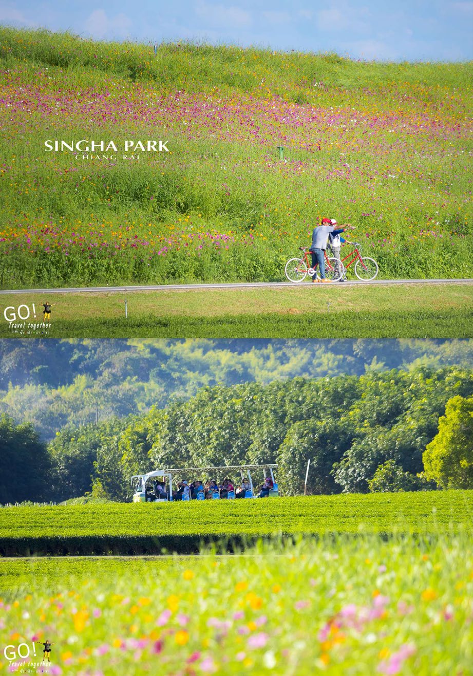 singha park