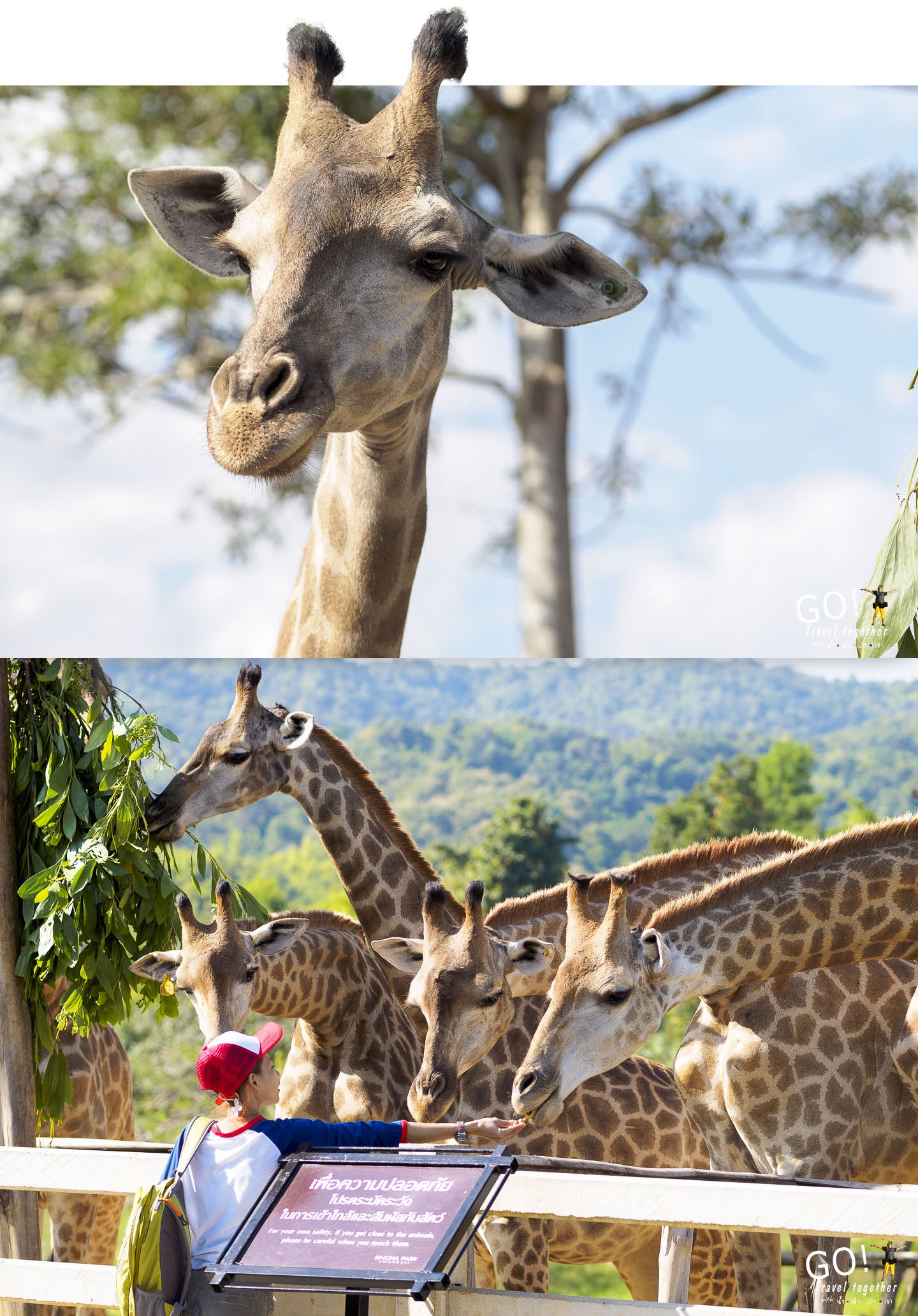 singha park