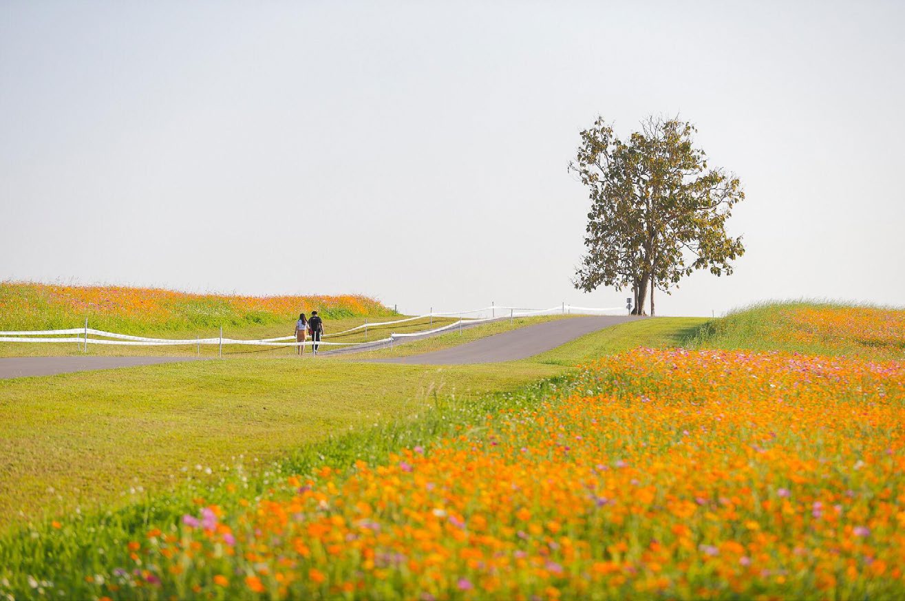singha park