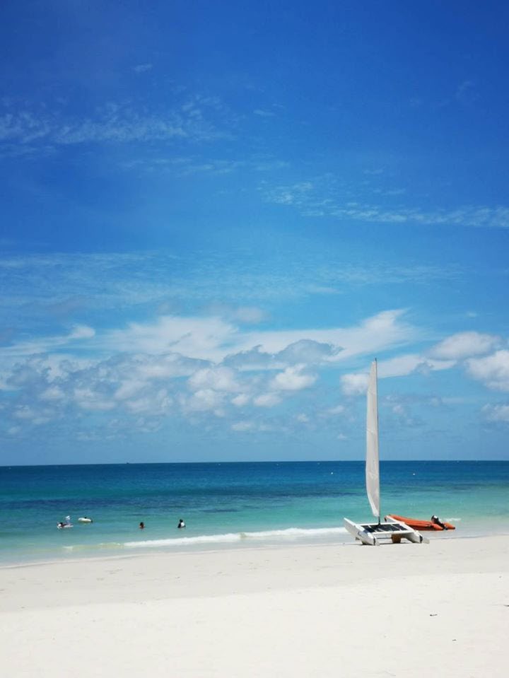 paradee resort
