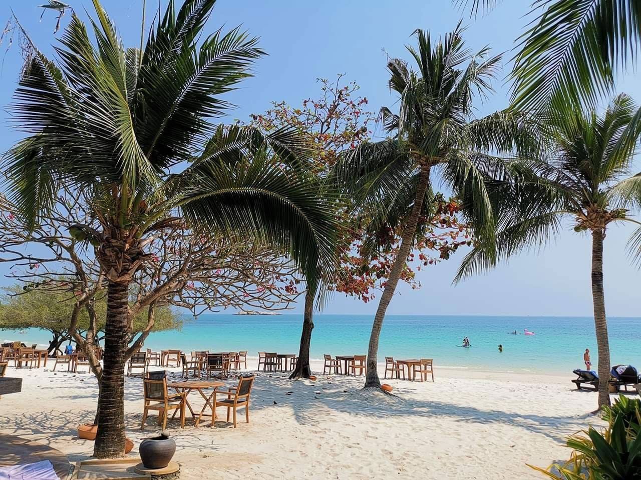 paradee resort