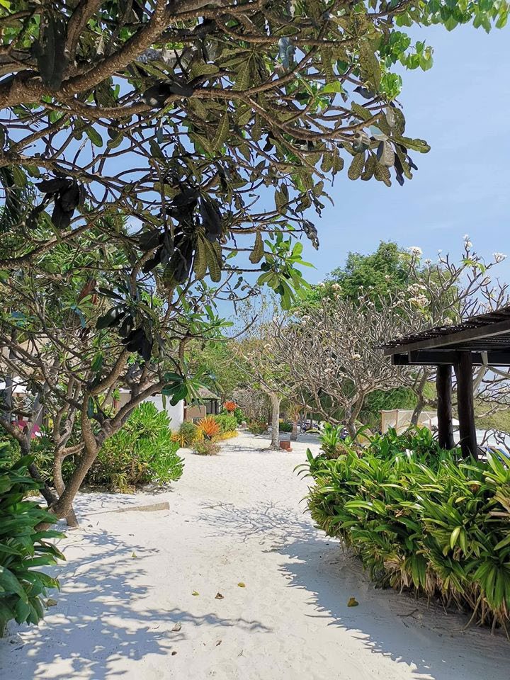 paradee resort