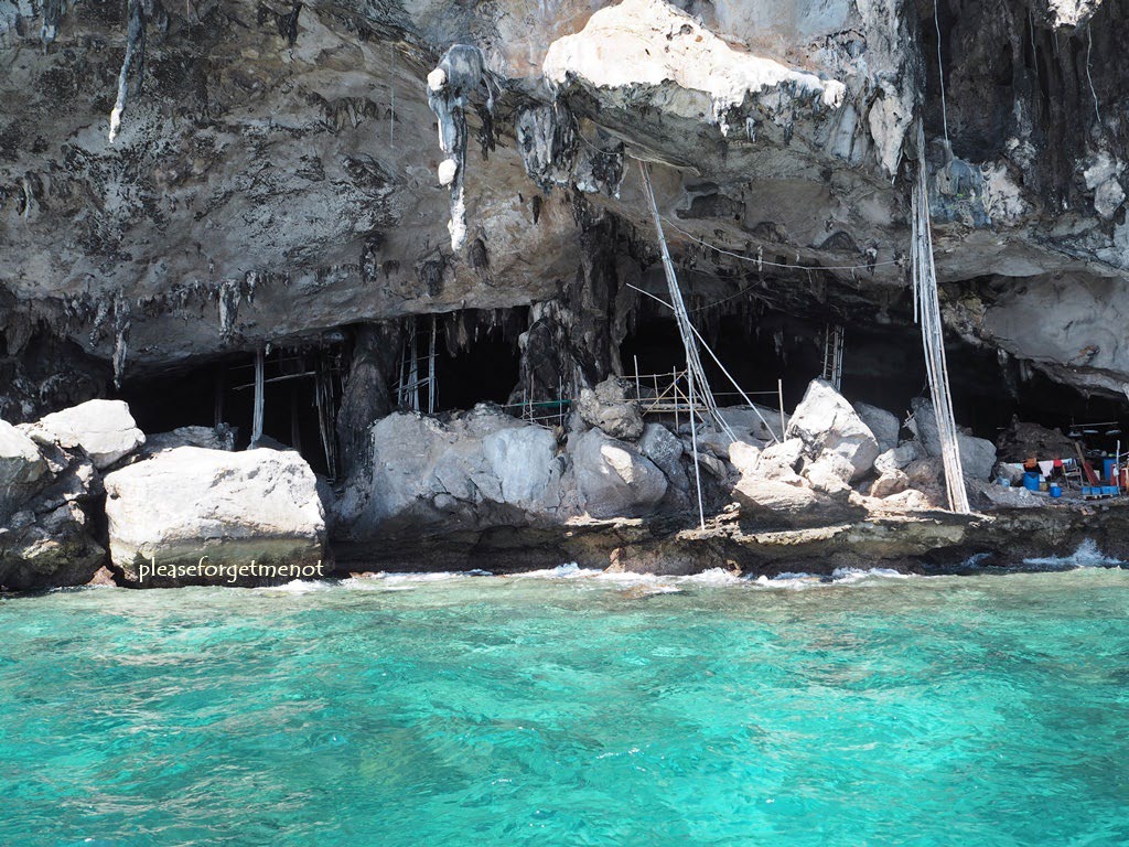 PP islands(LAH)