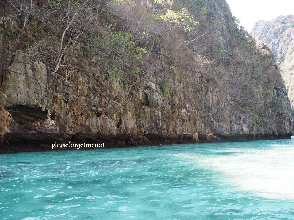 PP islands(LAH)