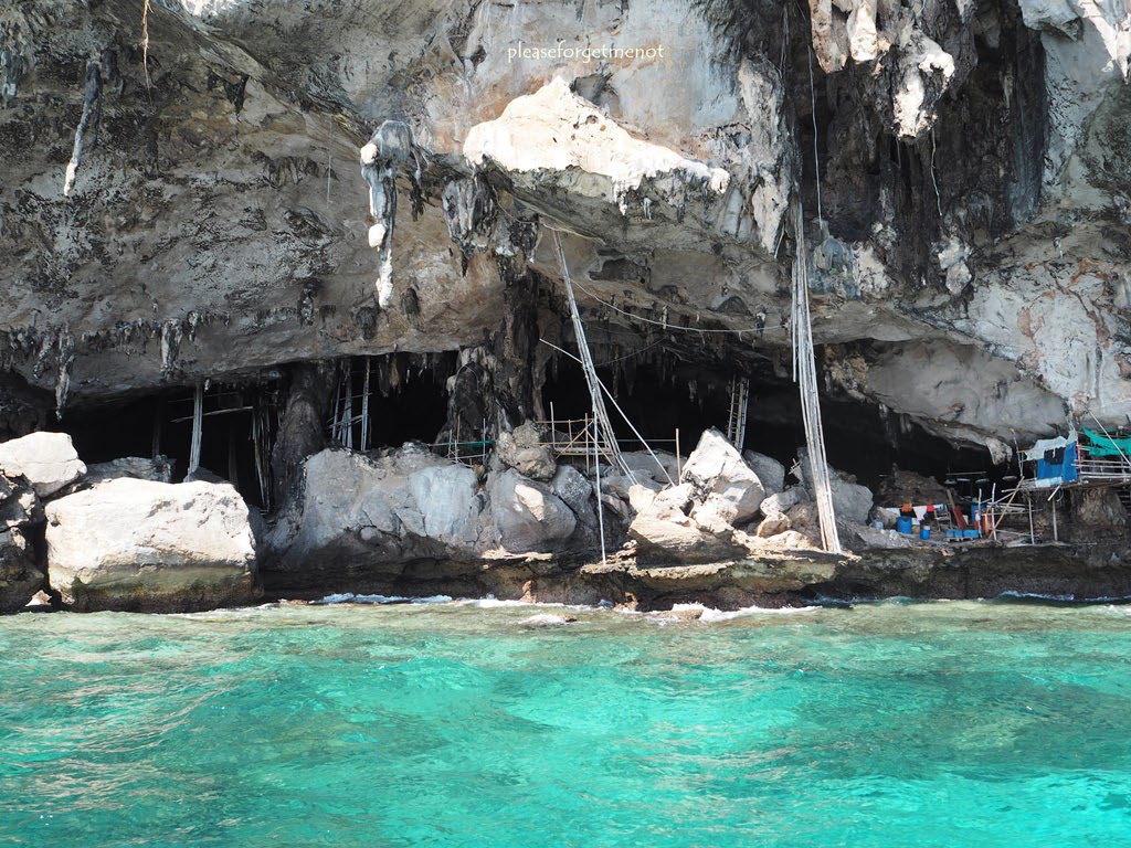 PP islands(LAH)