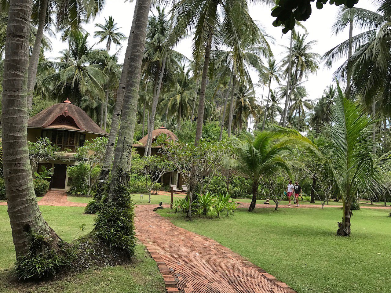 Rayawadee