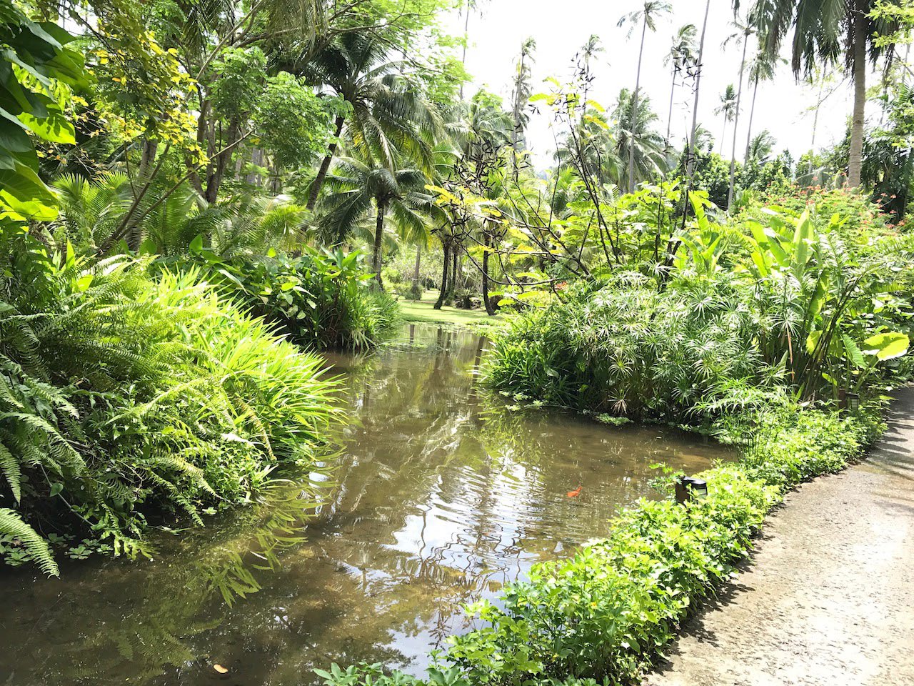 Rayawadee