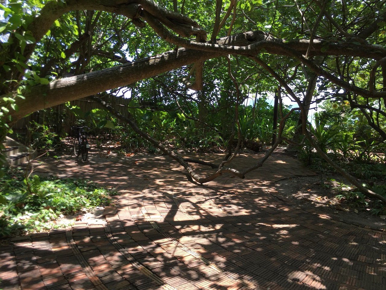 Rayawadee