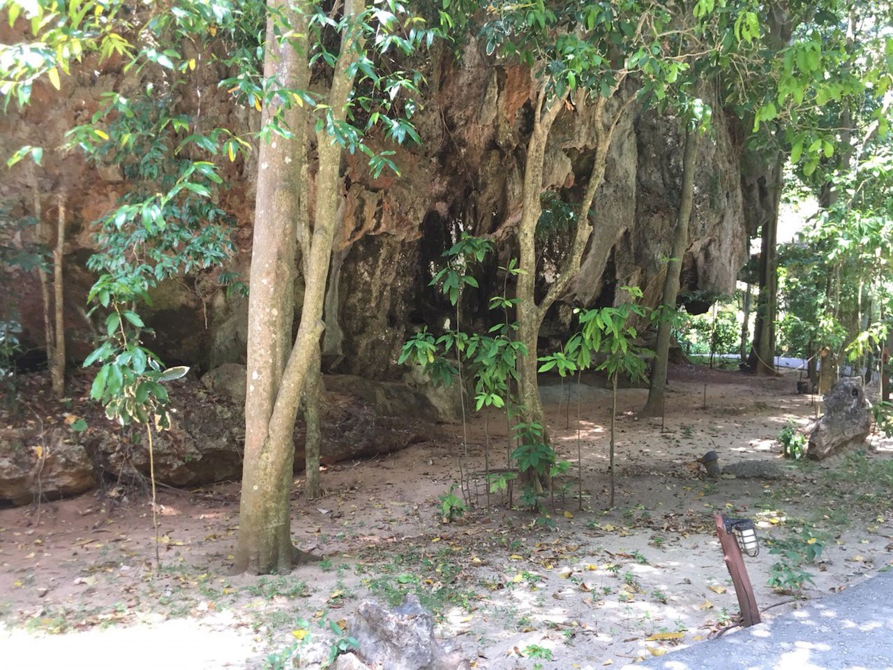 Rayawadee
