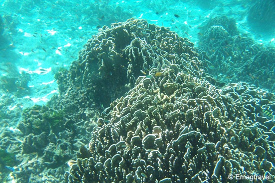 Similan islands