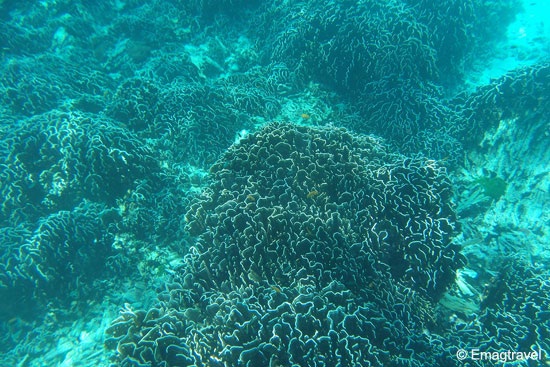 Similan islands