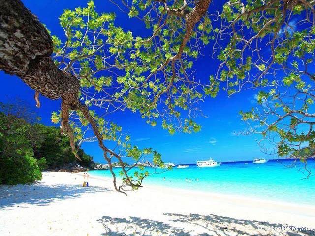 Similan islands