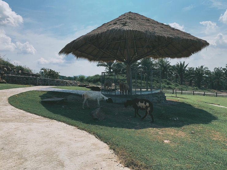 Suanlamai