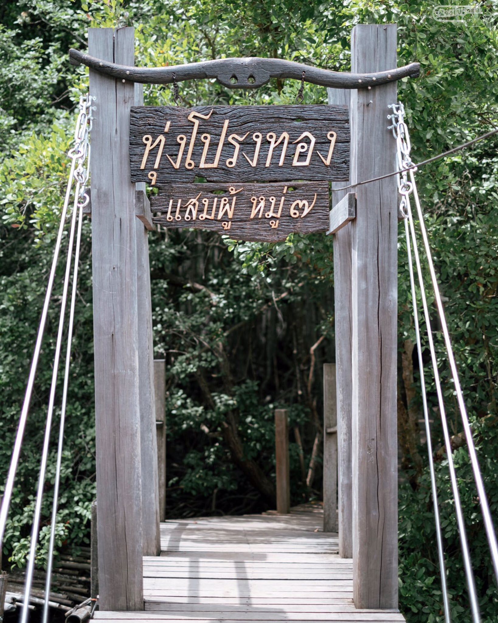 Tung prongthong