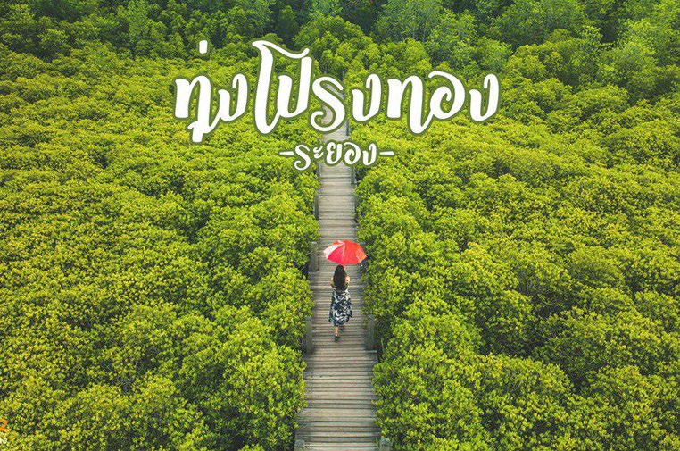 Tung prongthong