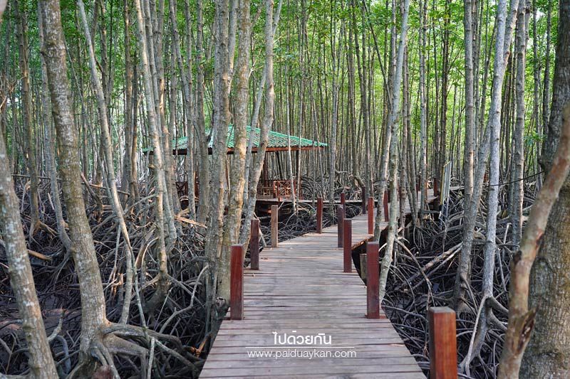 Tung prongthong