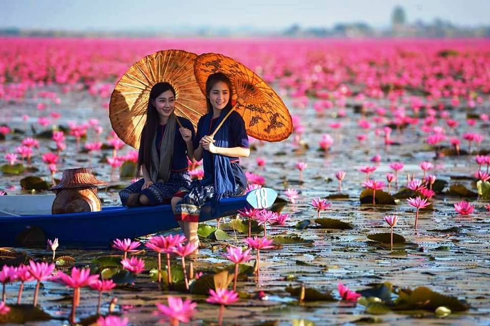 Red Lotus Lake