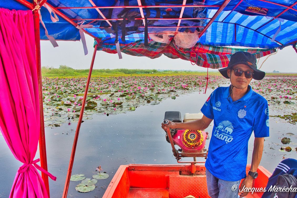 Red Lotus Lake
