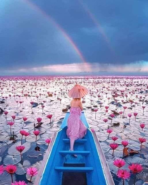 Red Lotus Lake