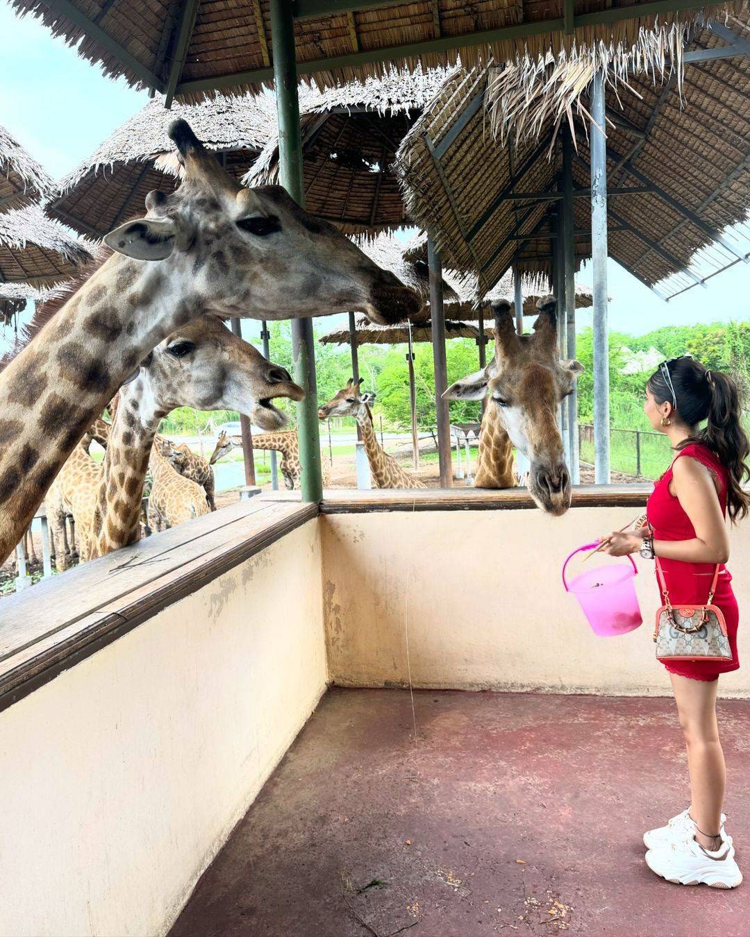 Safari world