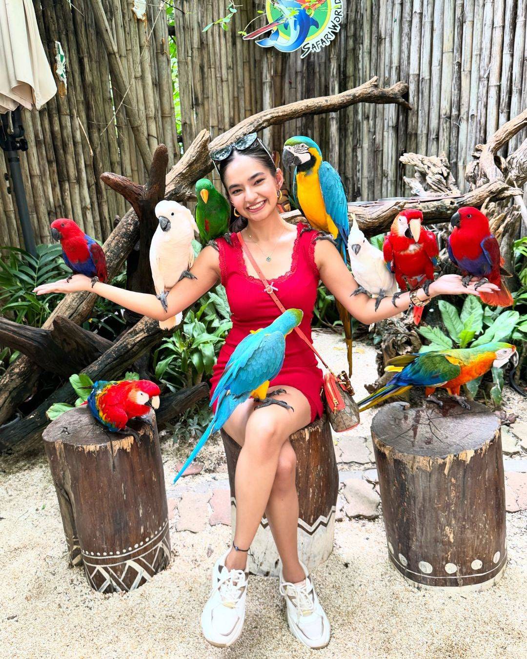 Safari world