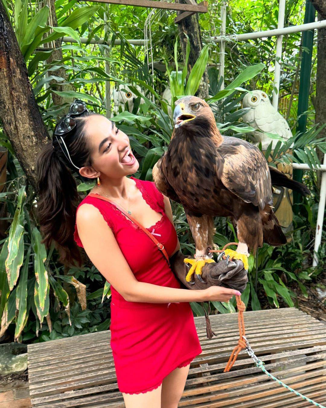 Safari world
