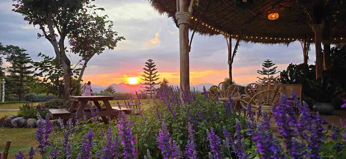 The Peak Flower Land Khao Yai