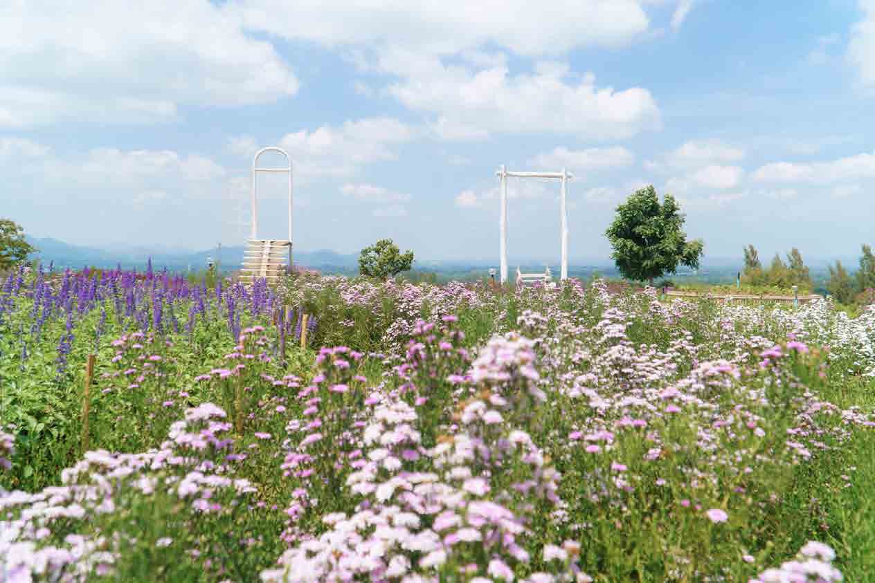 The Peak Flower Land Khao Yai