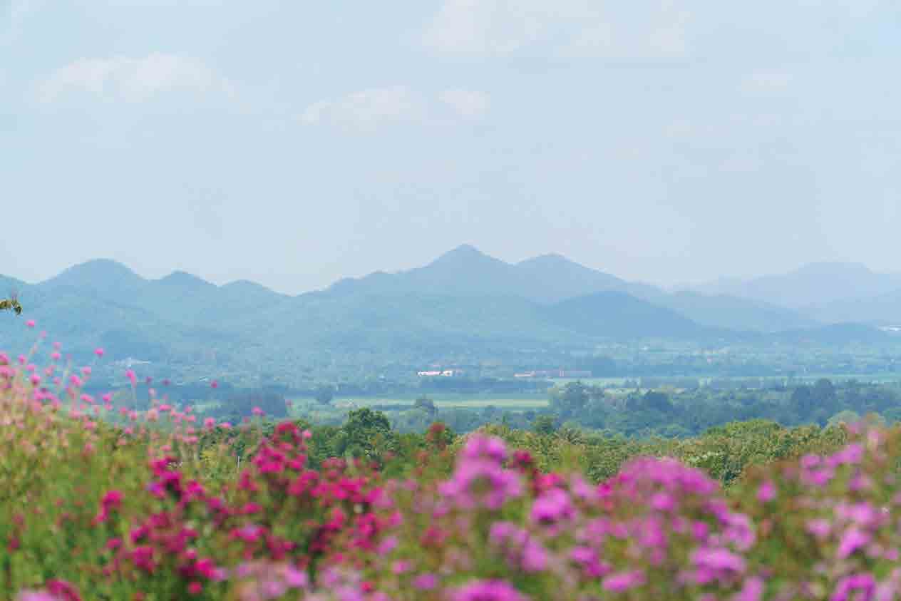 The Peak Flower Land Khao Yai