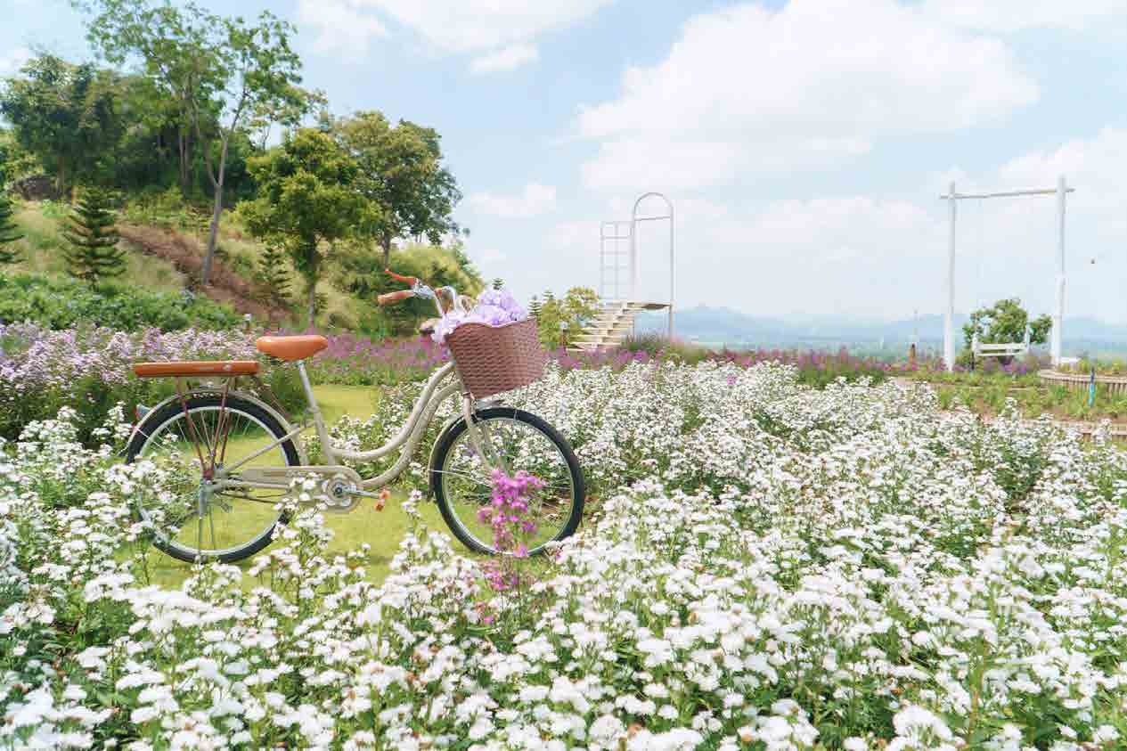 The Peak Flower Land Khao Yai