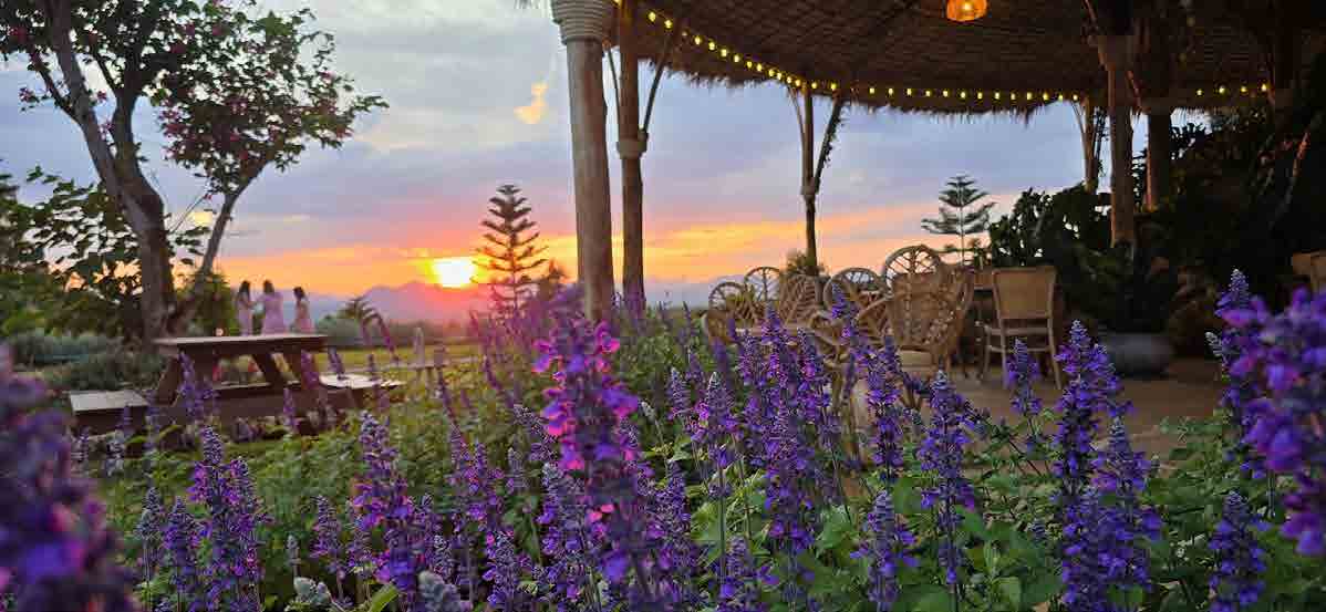 The Peak Flower Land Khao Yai