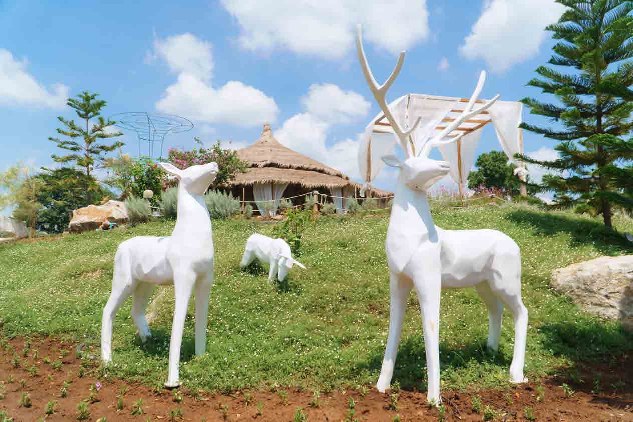 The Peak Flower Land Khao Yai