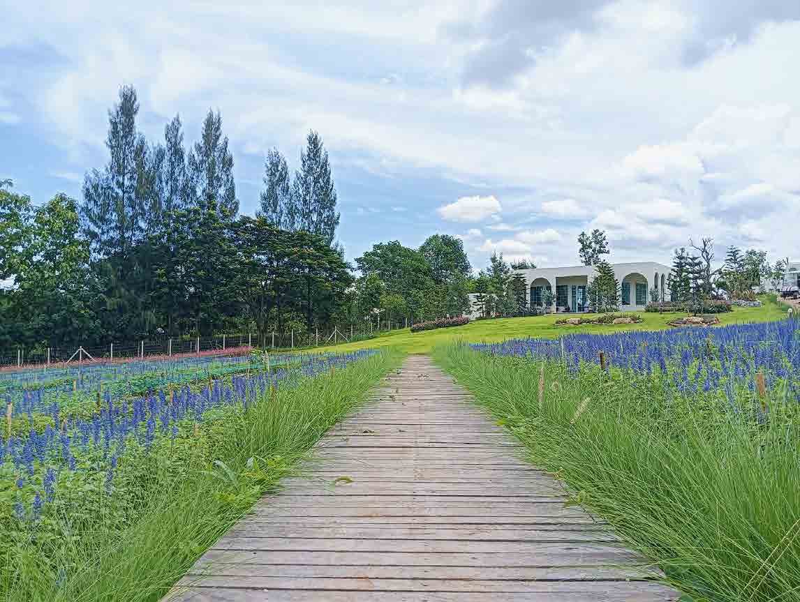 The Peak Flower Land Khao Yai