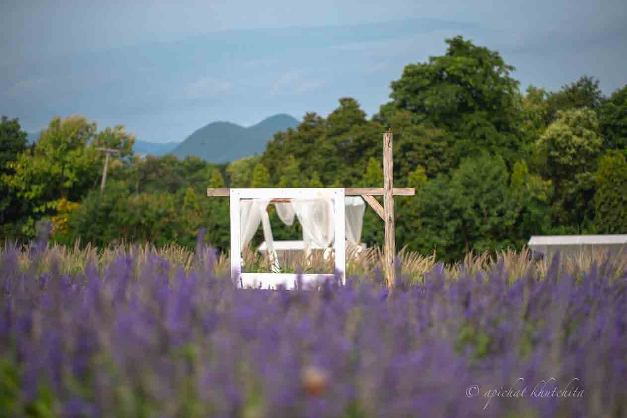 The Peak Flower Land Khao Yai