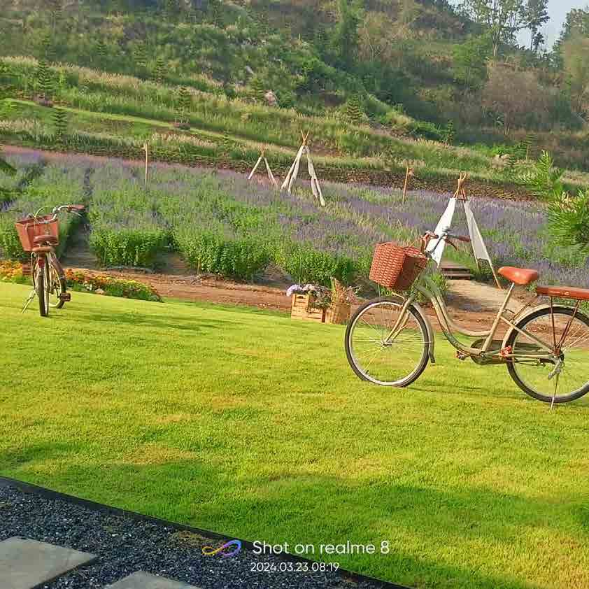 The Peak Flower Land Khao Yai