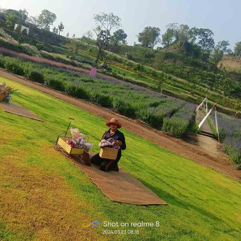 The Peak Flower Land Khao Yai