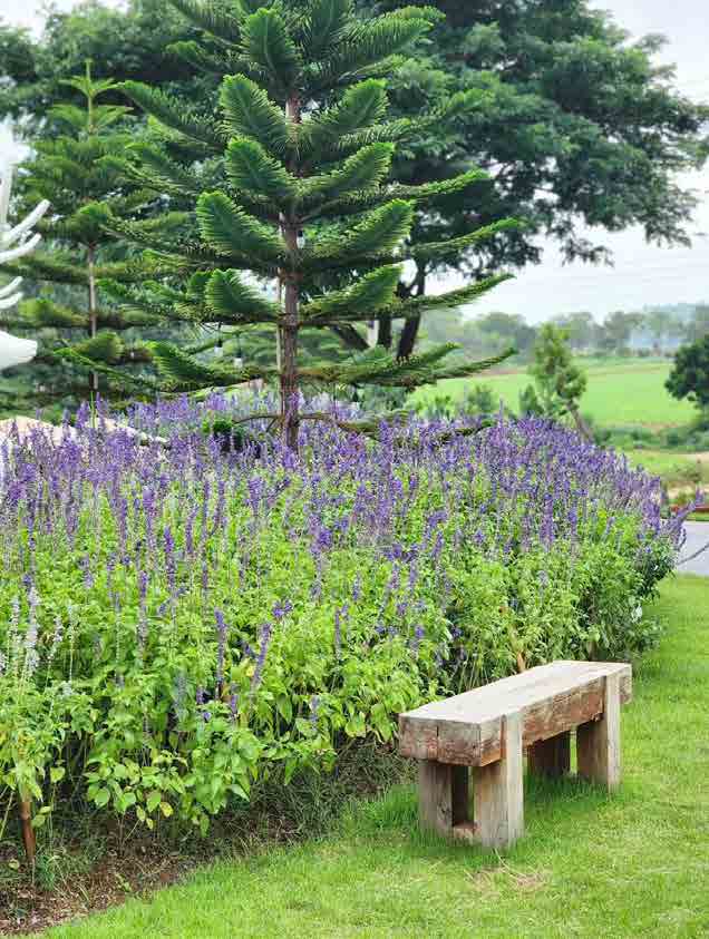 The Peak Flower Land Khao Yai