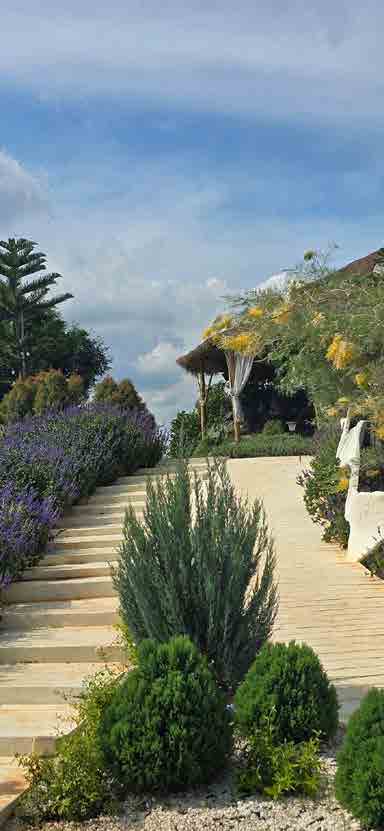 The Peak Flower Land Khao Yai