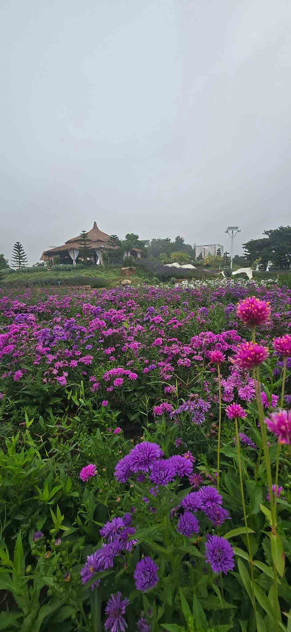 The Peak Flower Land Khao Yai