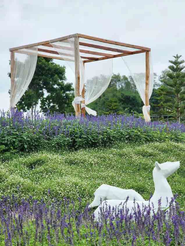 The Peak Flower Land Khao Yai